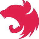 Nest JS Development Services