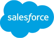 Salesforce Development Services